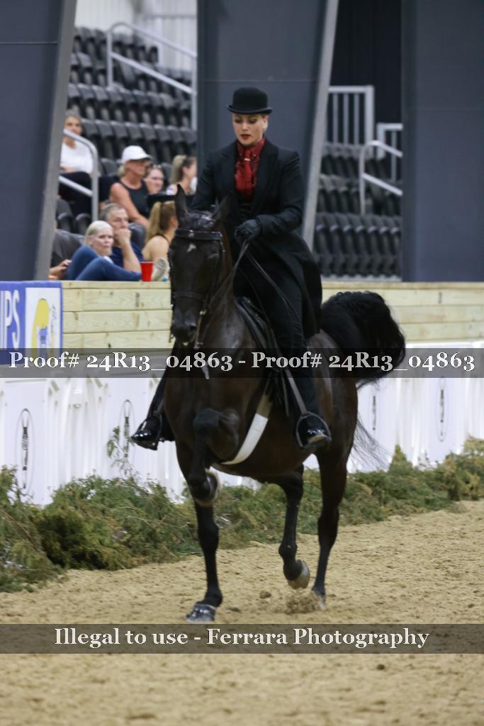 Proof 24R13_04863