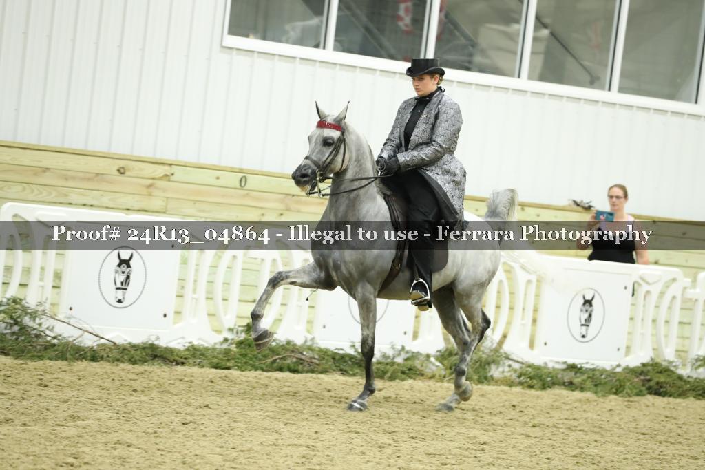 Proof 24R13_04864