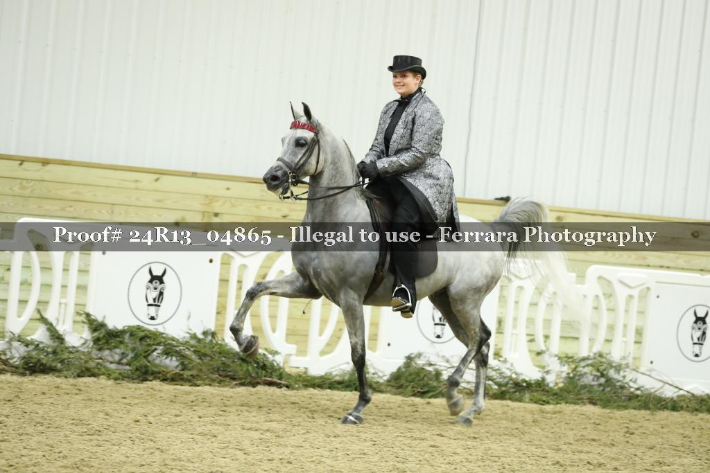 Proof 24R13_04865