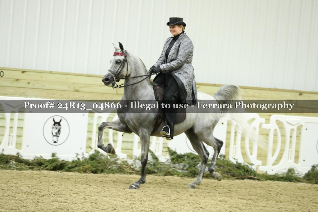 Proof 24R13_04866