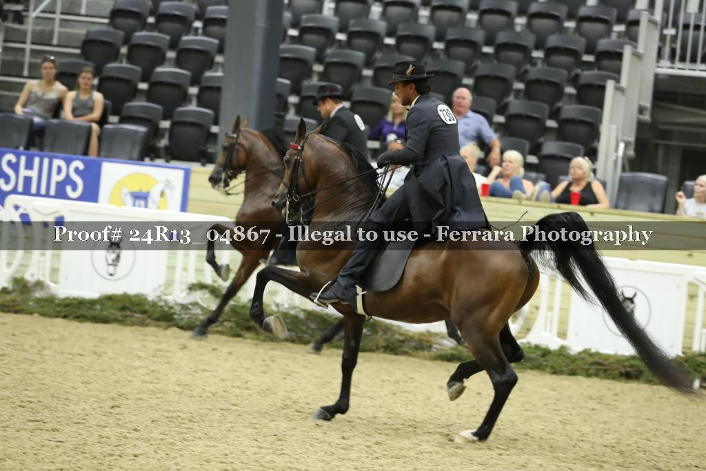 Proof 24R13_04867
