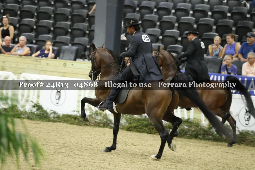 Proof 24R13_04868