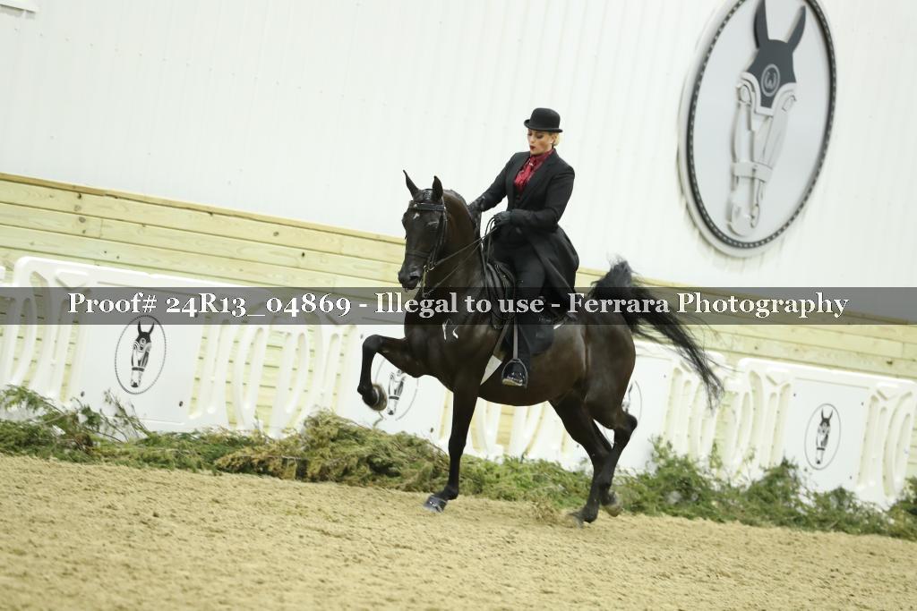 Proof 24R13_04869