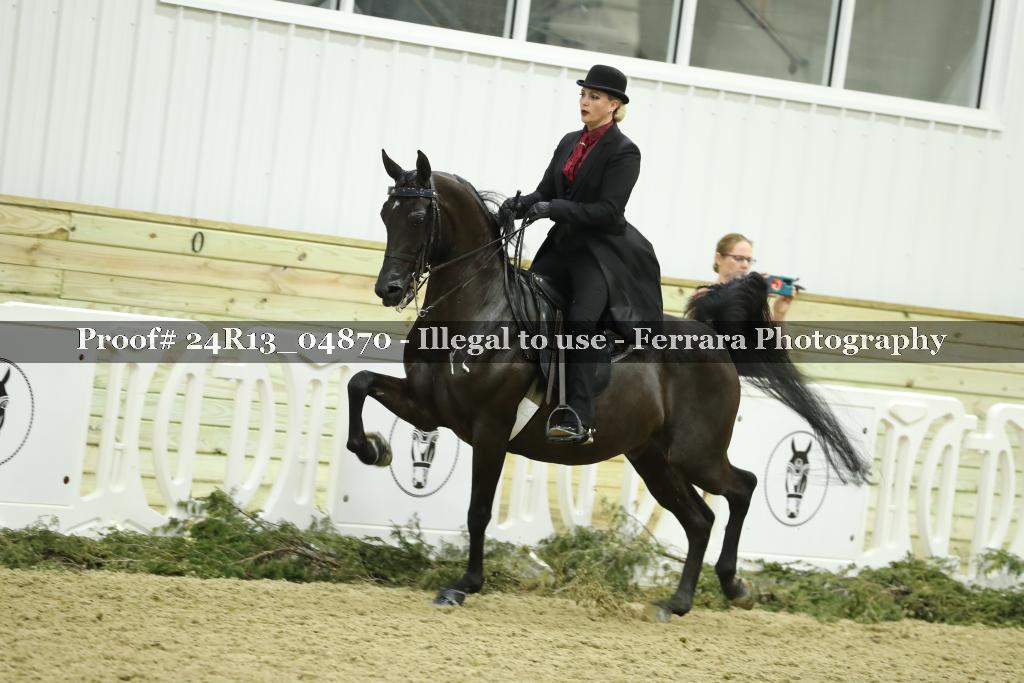 Proof 24R13_04870