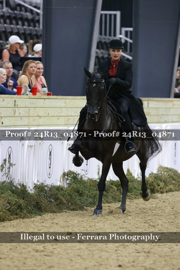Proof 24R13_04871