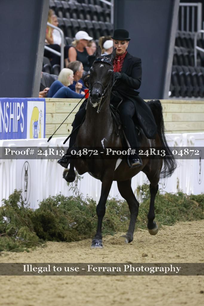 Proof 24R13_04872