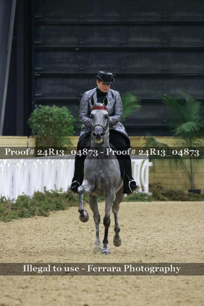 Proof 24R13_04873
