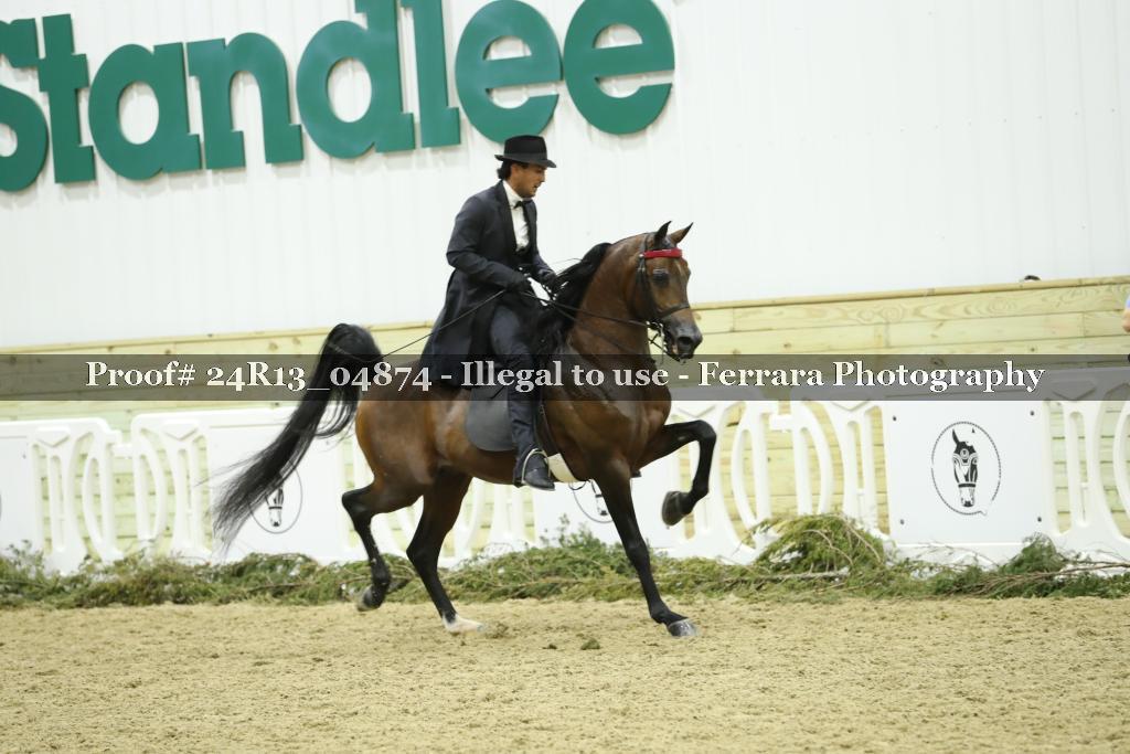 Proof 24R13_04874