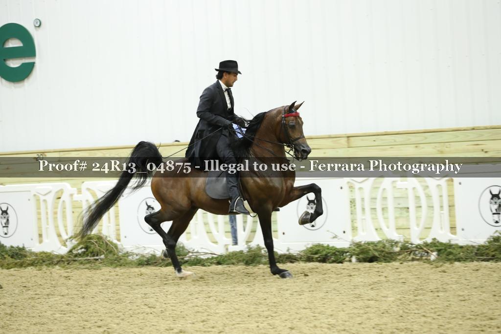 Proof 24R13_04875