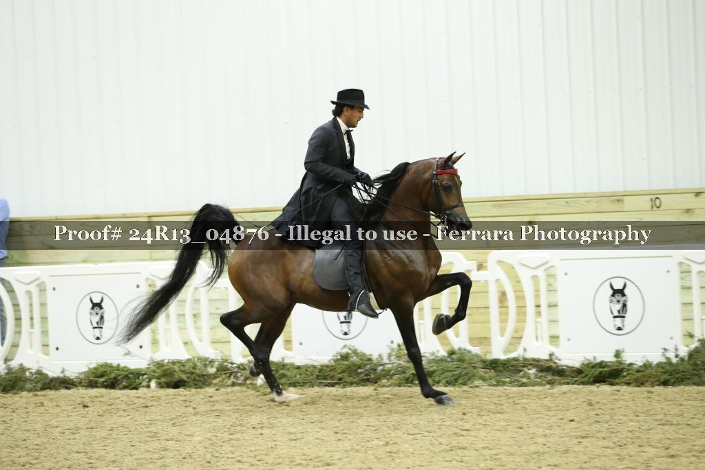 Proof 24R13_04876