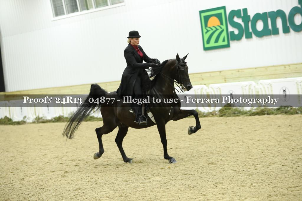 Proof 24R13_04877