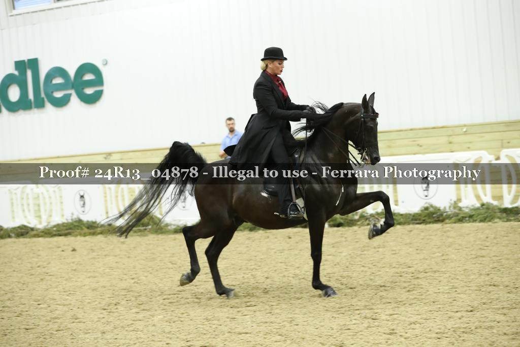 Proof 24R13_04878