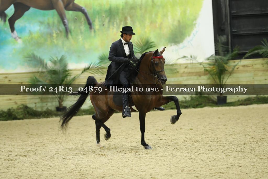 Proof 24R13_04879