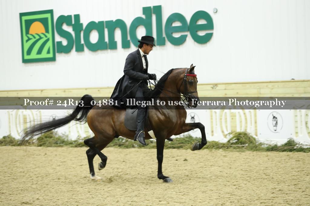 Proof 24R13_04881