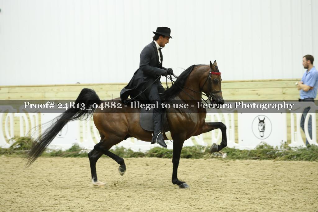 Proof 24R13_04882