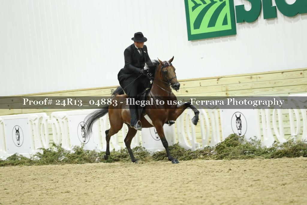 Proof 24R13_04883