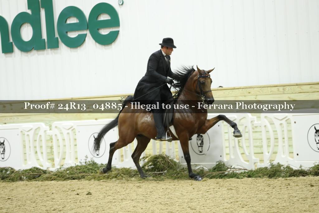 Proof 24R13_04885