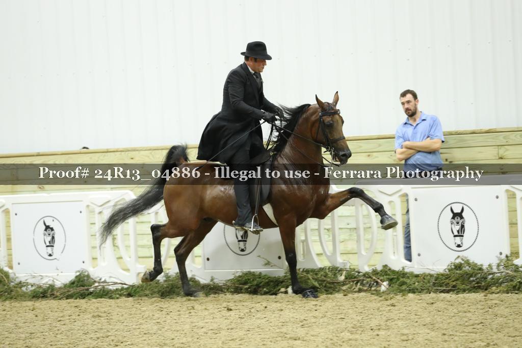 Proof 24R13_04886