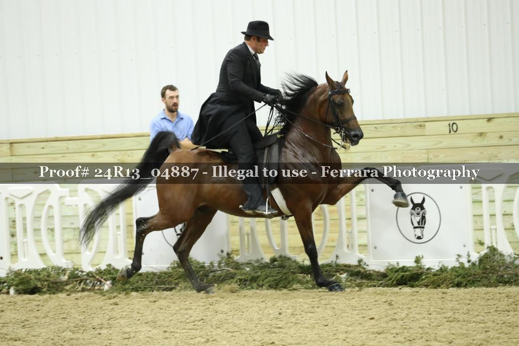 Proof 24R13_04887