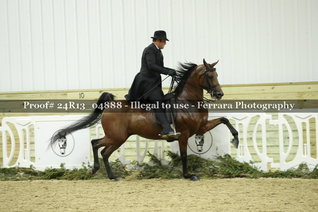 Proof 24R13_04888