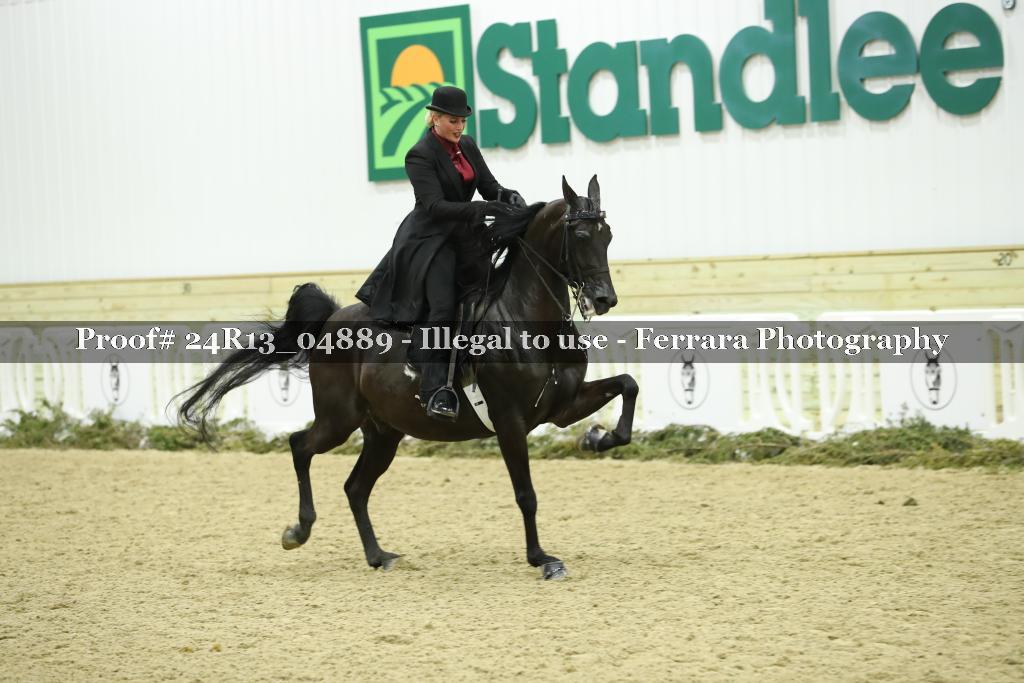Proof 24R13_04889