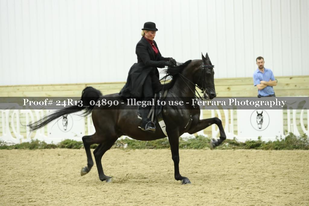 Proof 24R13_04890