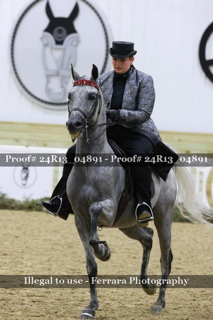 Proof 24R13_04891