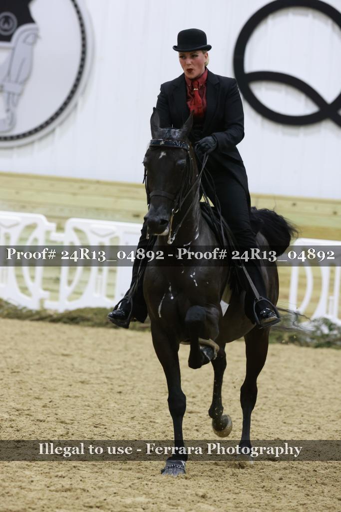 Proof 24R13_04892