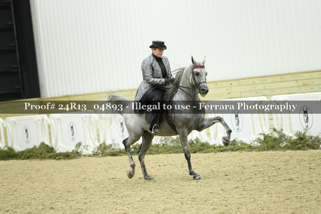 Proof 24R13_04893