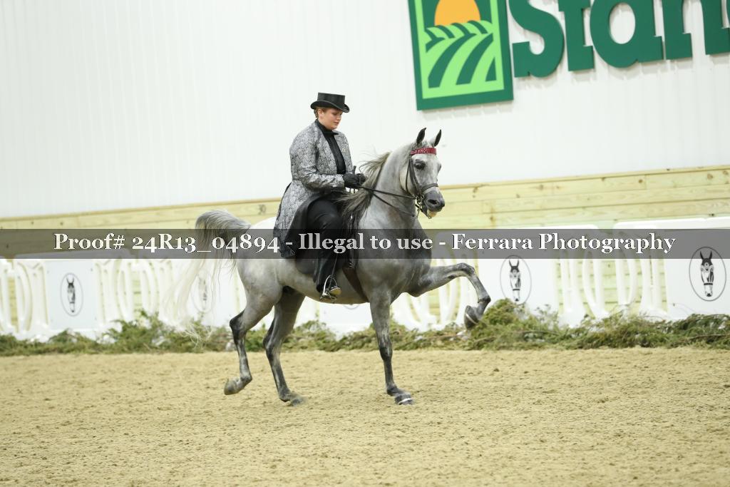Proof 24R13_04894