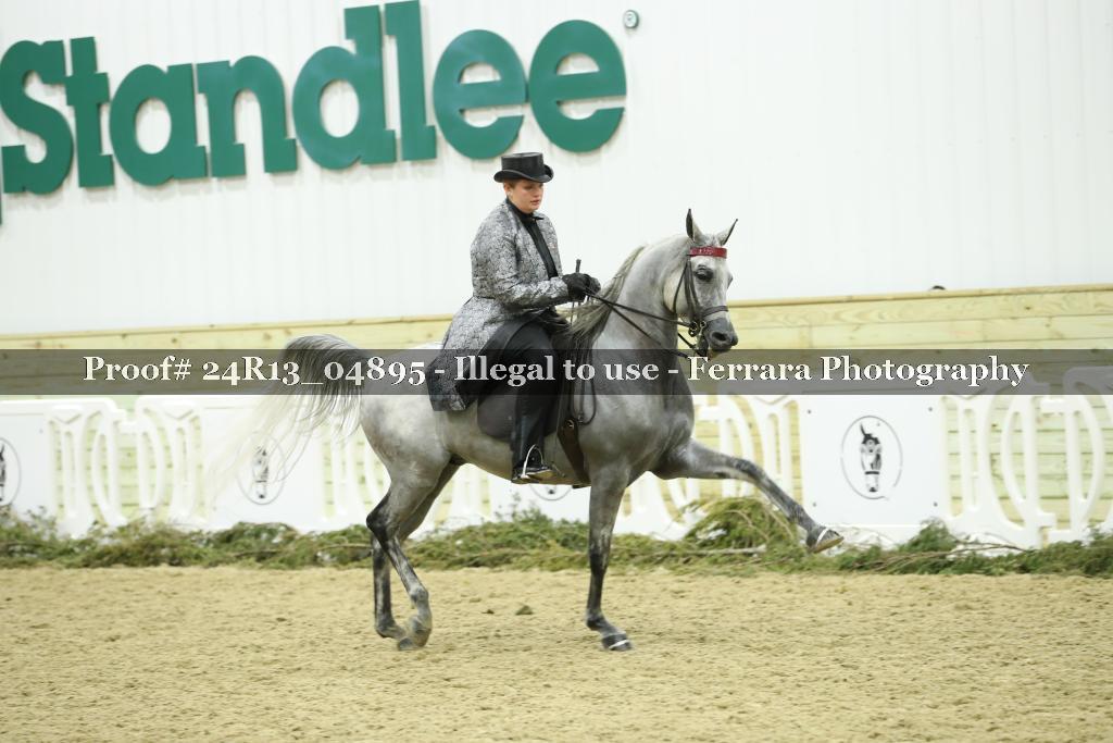 Proof 24R13_04895