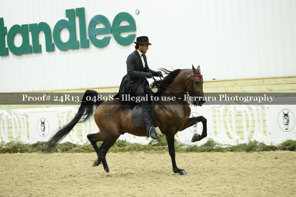 Proof 24R13_04898