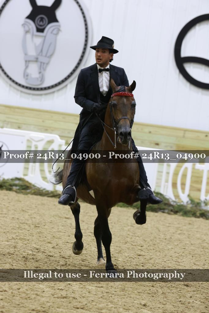 Proof 24R13_04900