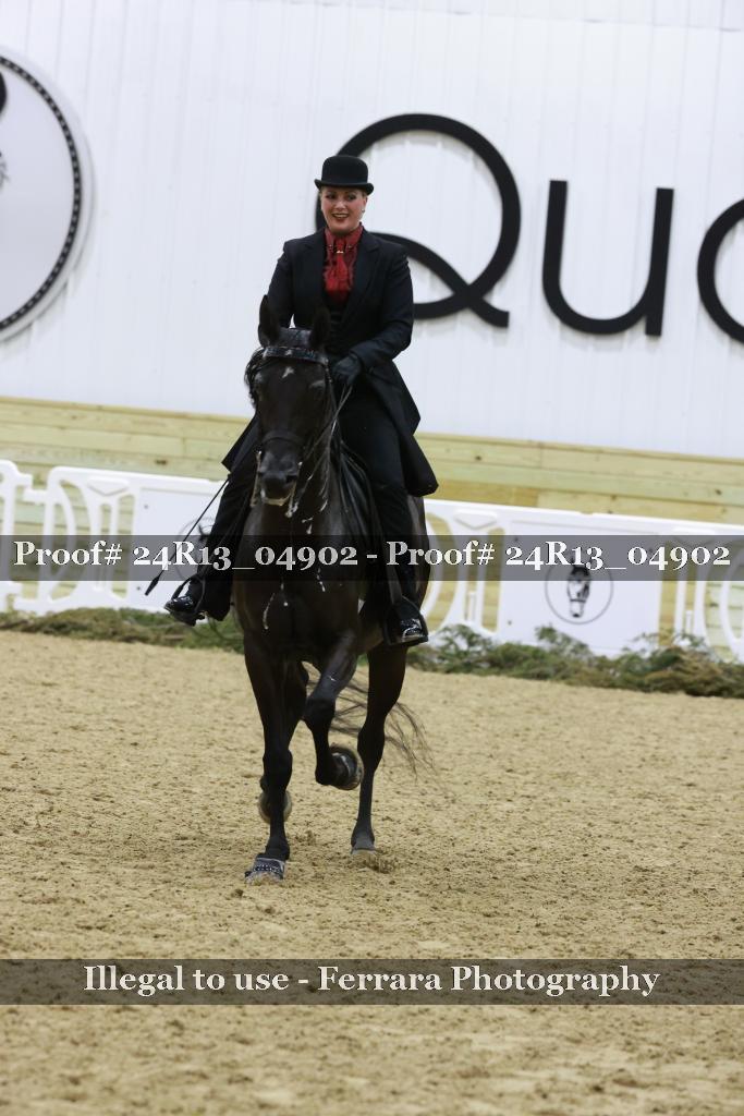 Proof 24R13_04902