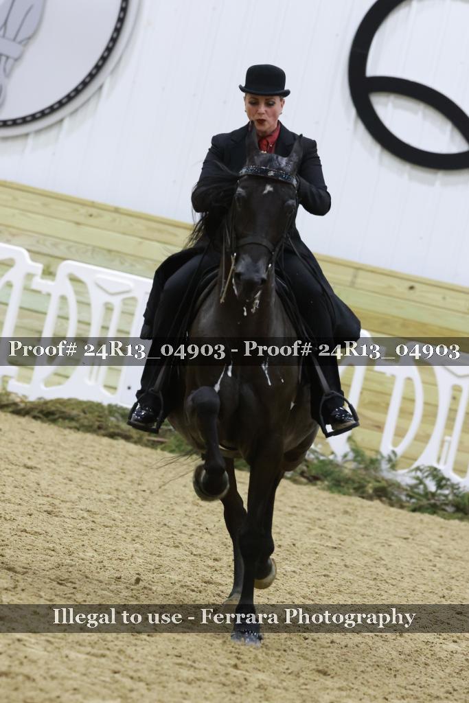 Proof 24R13_04903
