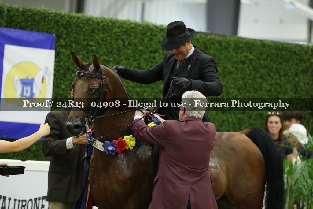 Proof 24R13_04908