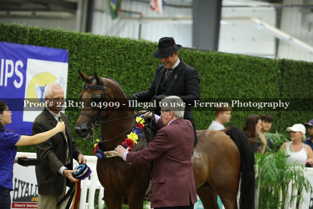 Proof 24R13_04909