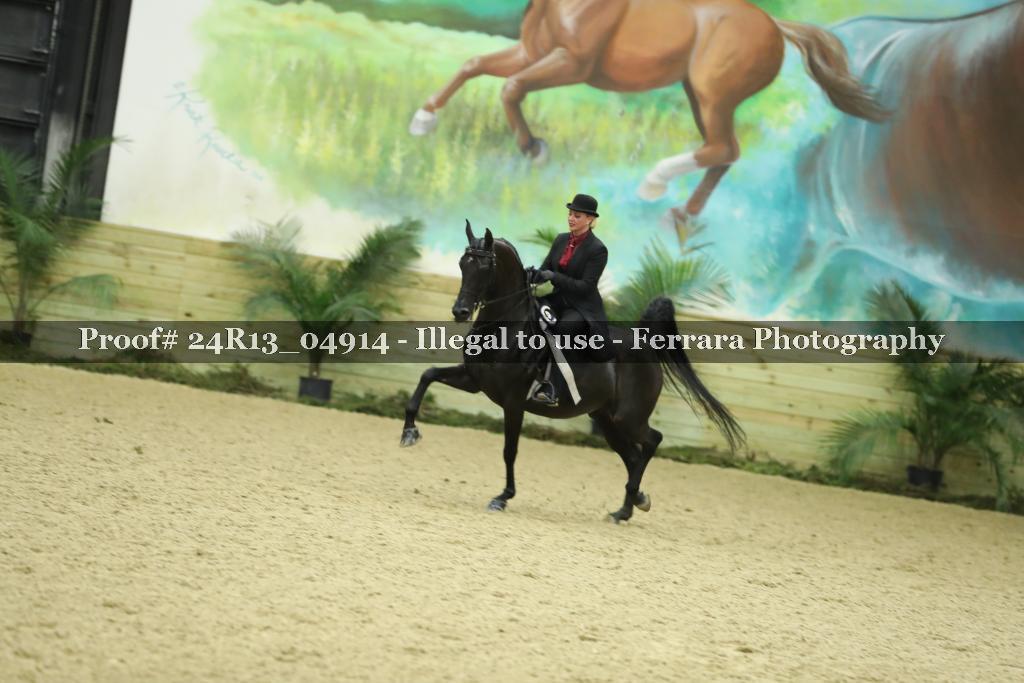 Proof 24R13_04914