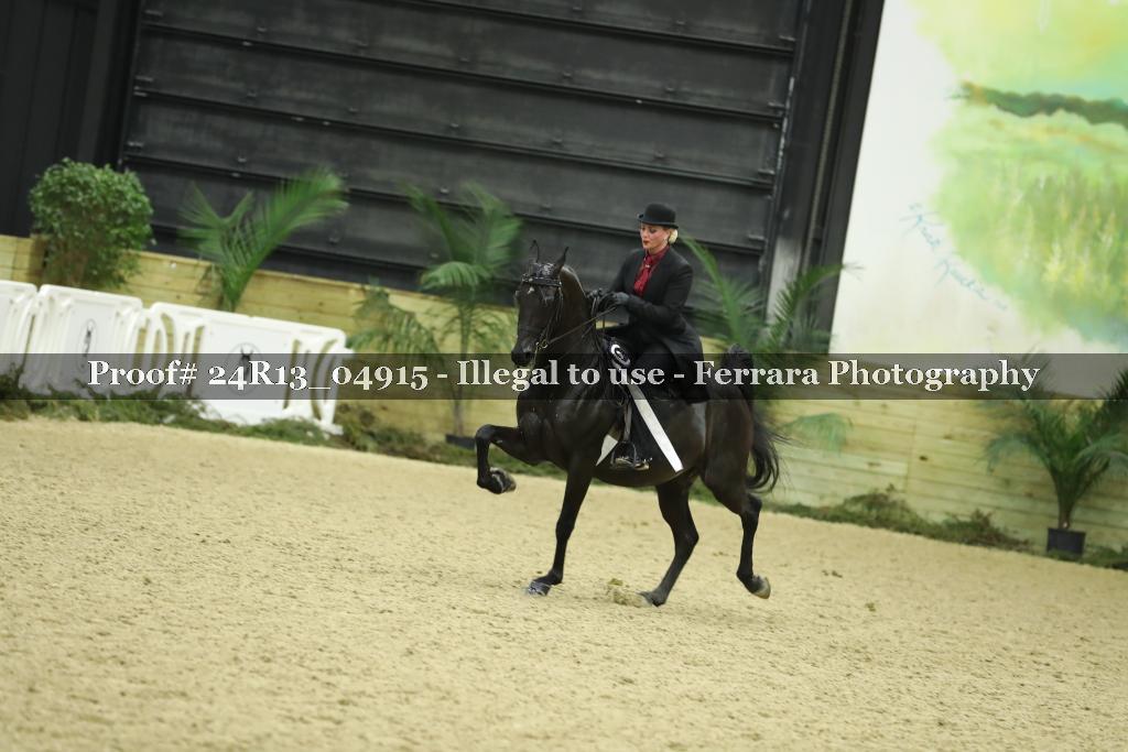 Proof 24R13_04915