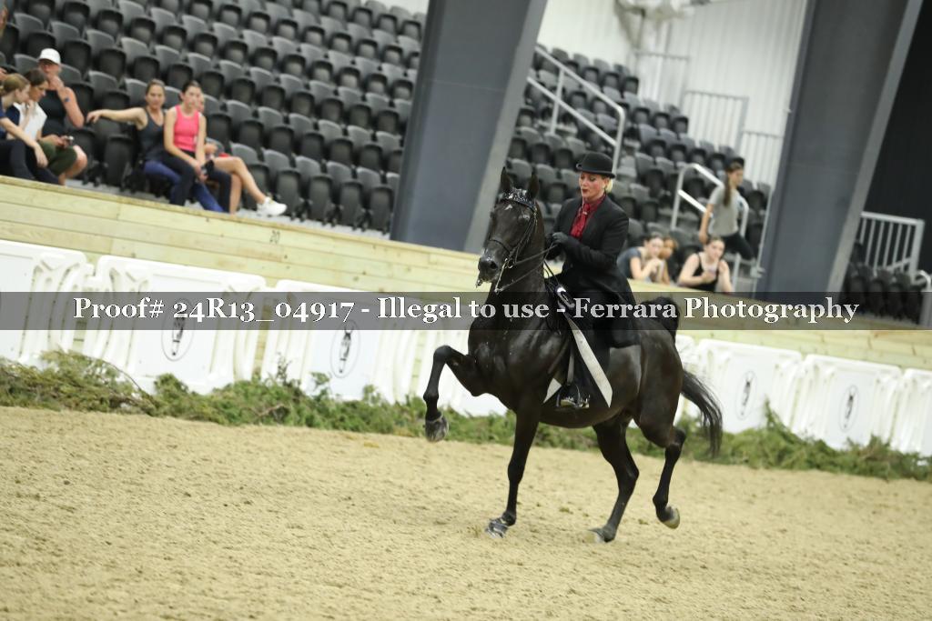 Proof 24R13_04917