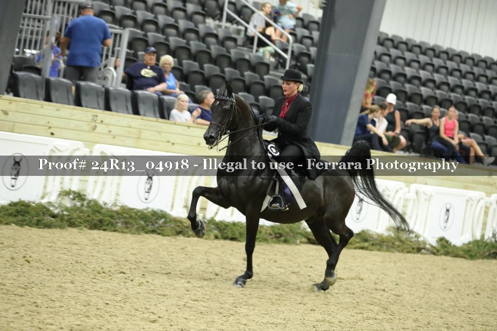 Proof 24R13_04918
