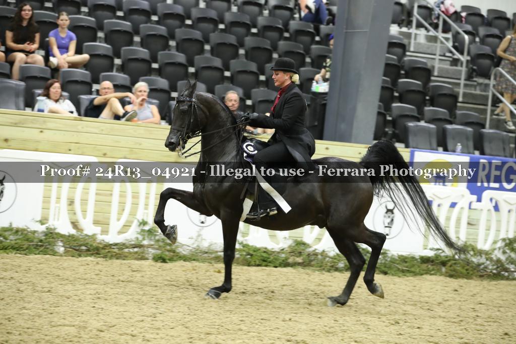 Proof 24R13_04921