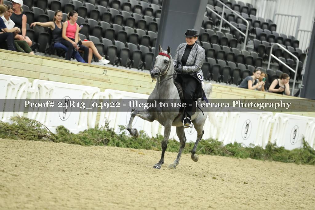 Proof 24R13_04922