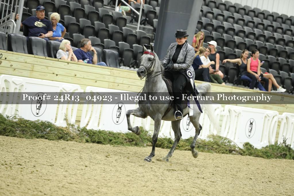 Proof 24R13_04923