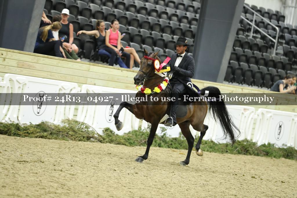 Proof 24R13_04927