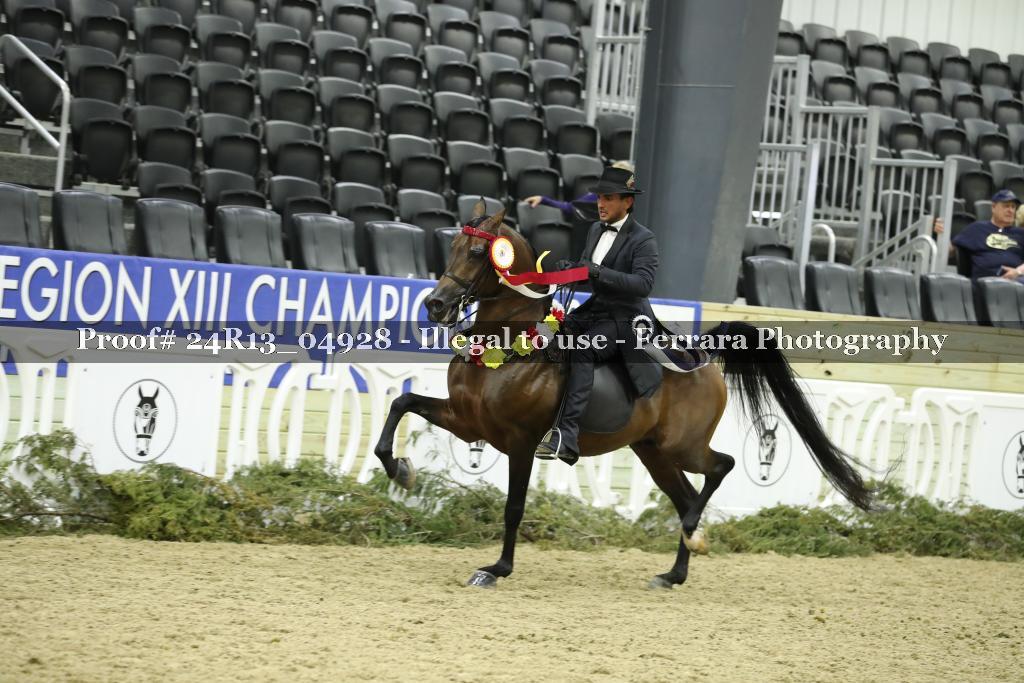 Proof 24R13_04928