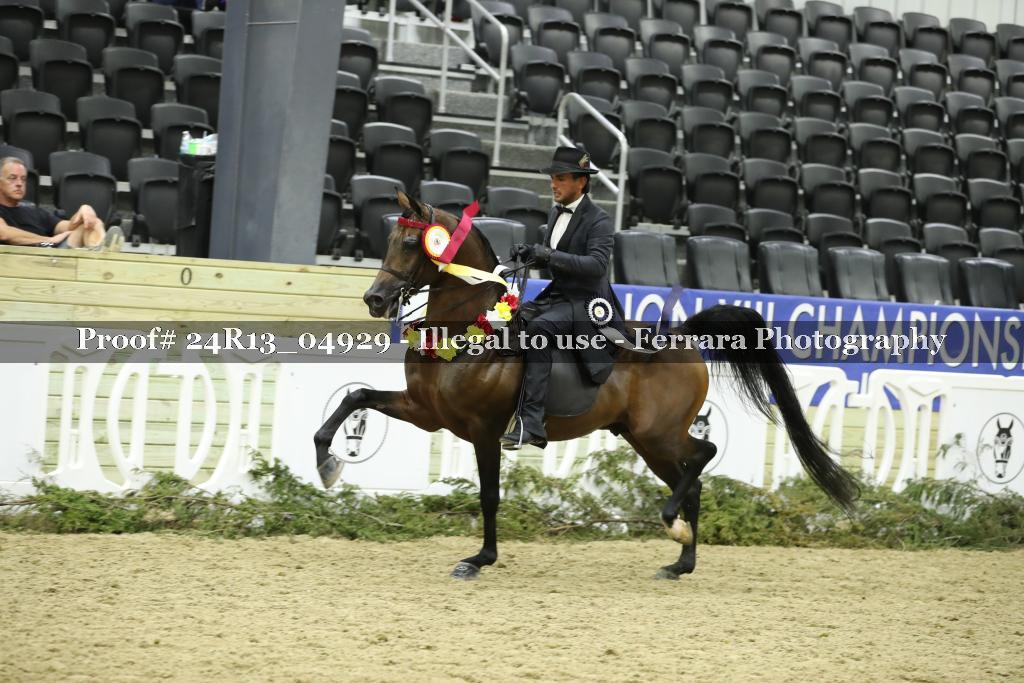 Proof 24R13_04929