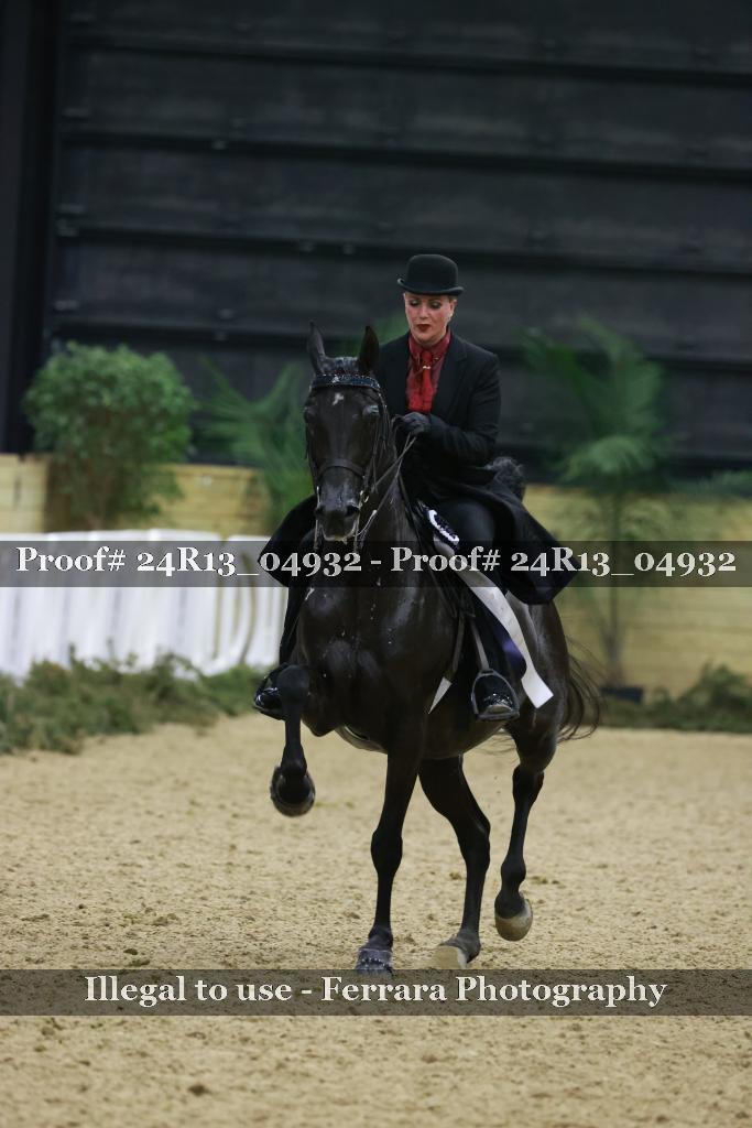 Proof 24R13_04932