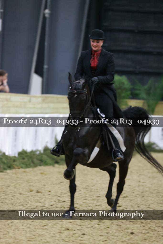 Proof 24R13_04933