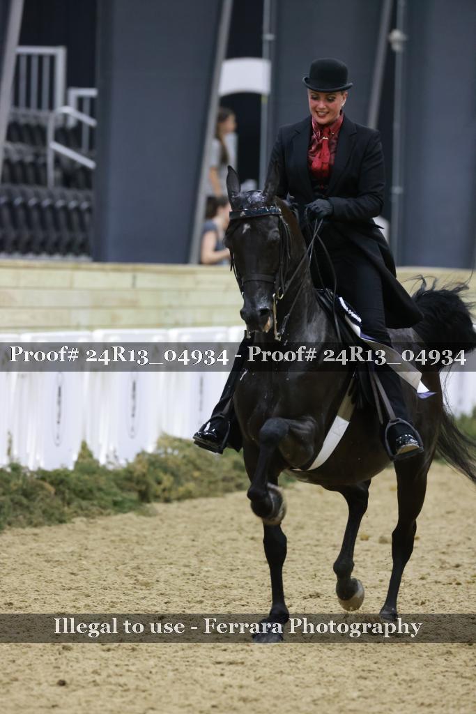 Proof 24R13_04934